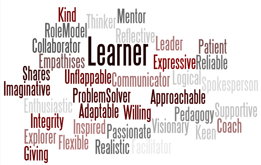 Qualities of effective lead
