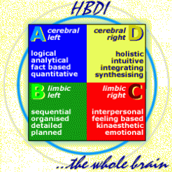 Overview: HBDI Whole Brain