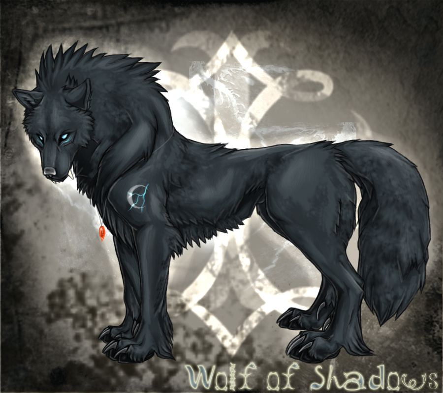 thepack101.webs.comDescription: A black male wolf