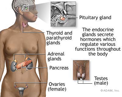 and tissues throughout the