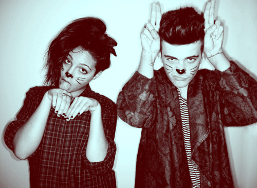 black and white, boy, cats,