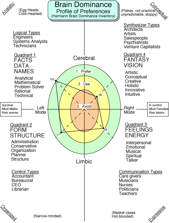 Hermann Brain Dominance