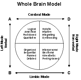 Hermann Brain Dominance